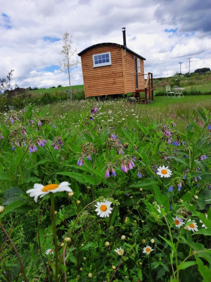 Campsite Cranfield Retreat & Glamping & Hobbit House *