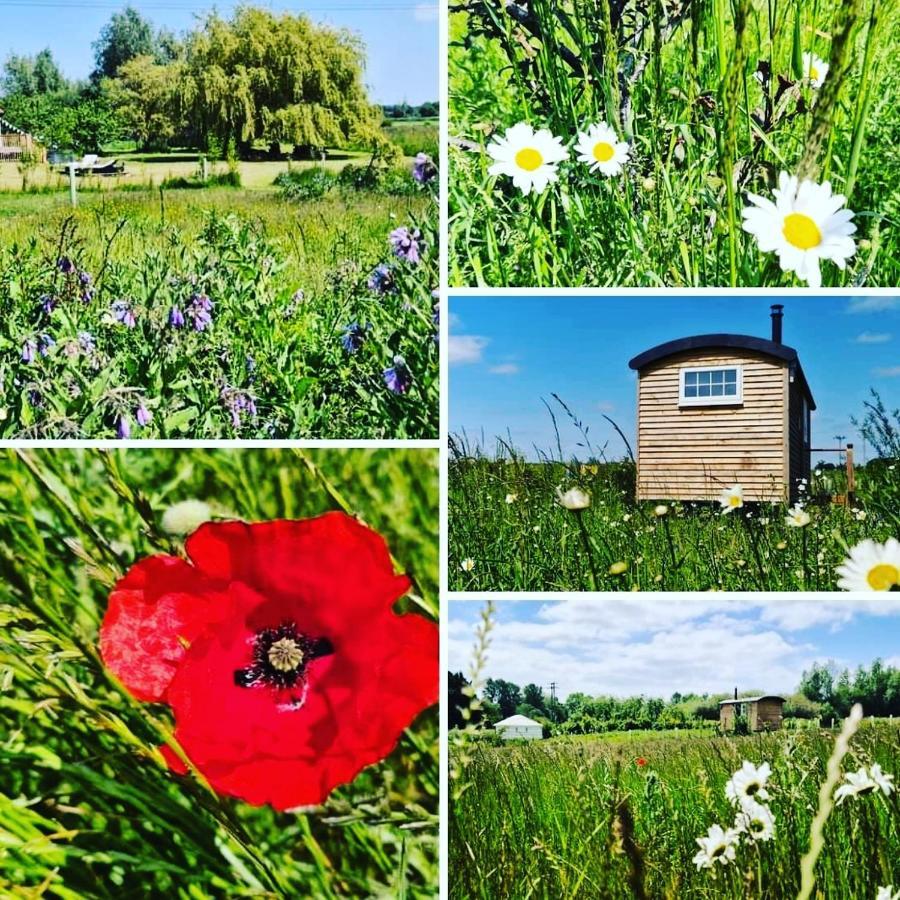 Cranfield Retreat & Glamping & Hobbit House Campsite *