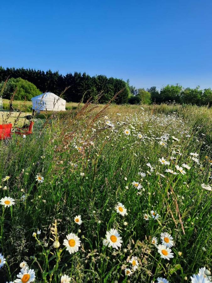 Campsite Cranfield Retreat & Glamping & Hobbit House Long Melford