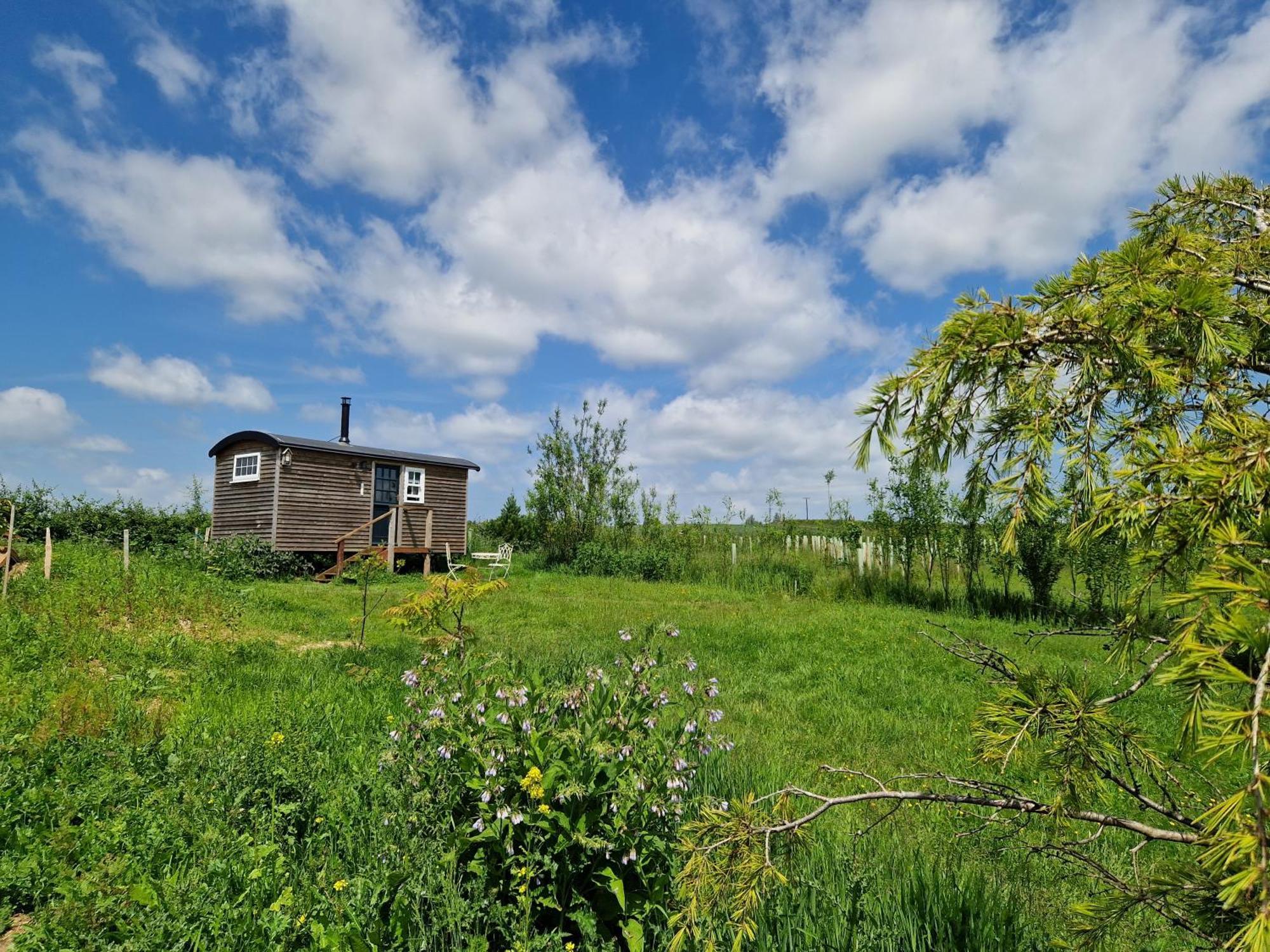 Cranfield Retreat & Glamping & Hobbit House Campsite *