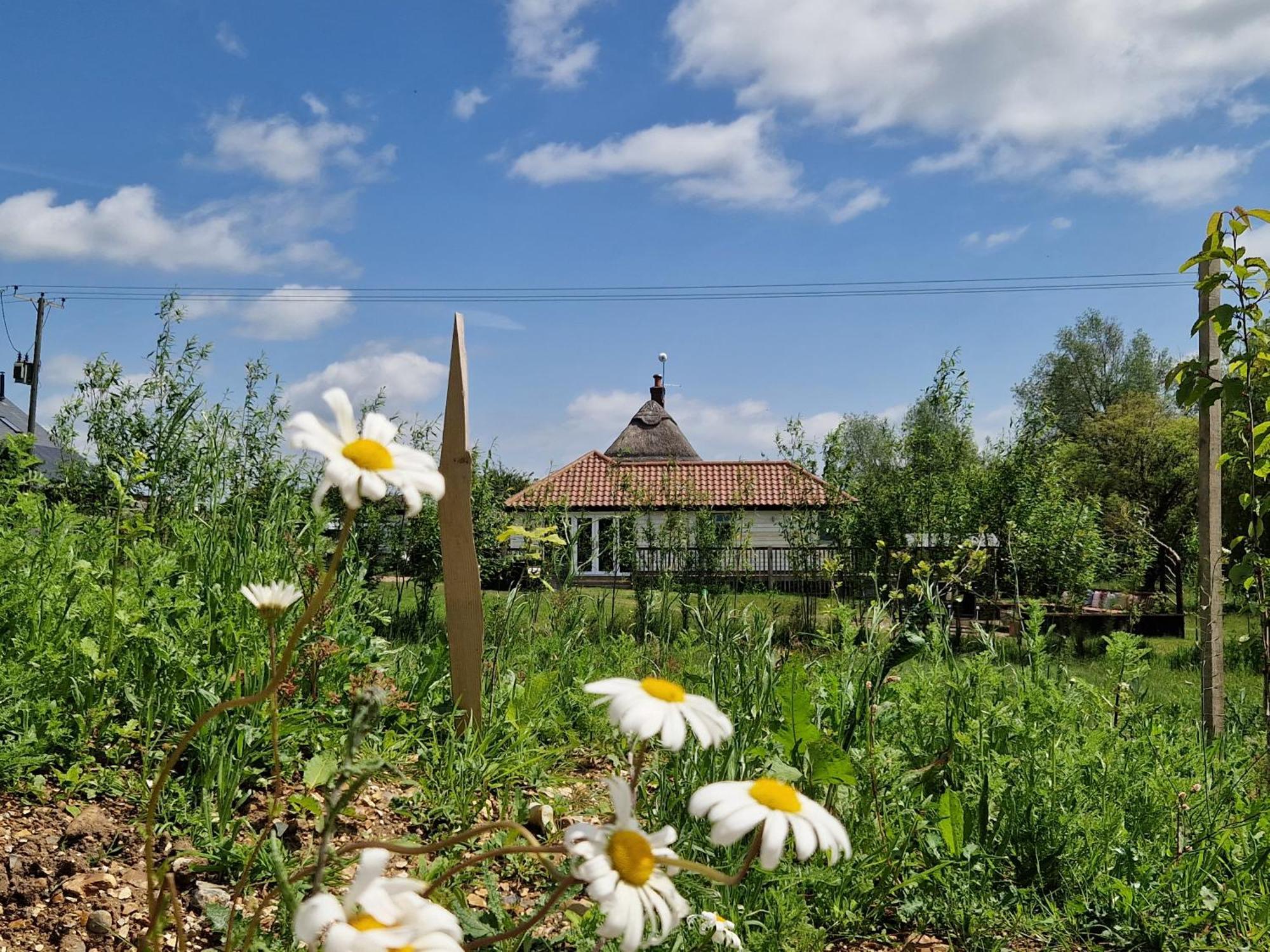 Cranfield Retreat & Glamping & Hobbit House Campsite Long Melford